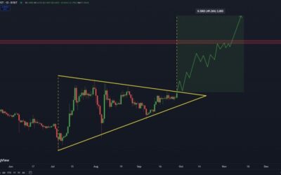 Analyst Predicts 50% XRP Rally If Bullish Pattern Breaks – Details