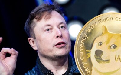 Amid Rally in Dogecoin Price, Doge Fan Elon Musk Talks About DOGE