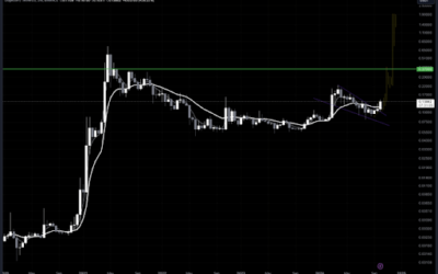 Analyst Predicts Dogecoin Price Will More Than Double To $0.37, The Timeline Will Shock You