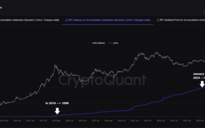 Bitcoin Accumulation Hits 2.9 Million BTC: Has the Preparation For A Massive Rally Begun?