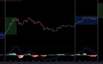 Bitcoin Bull Run Looming? Expert Anticipates Grand Massive Upsuge In The Coming Months