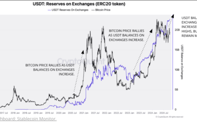 Bitcoin Bull Run To Resume Soon? Crypto Market Liquidity At Record Highs