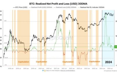 Bitcoin Data Suggests Strong Upside Potential As BTC Delivers $264M In Average Net Profit