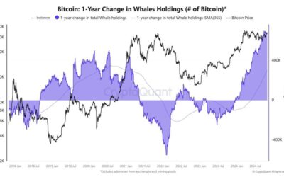 Bitcoin Institutional Demand Is Rising – Crucial Data Reveals BTC Whales Keep Growing