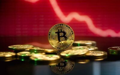 Bitcoin Search Interest Hits One-Year Low as Traders Shift Focus to Meme Coins Amid Market Uncertainty