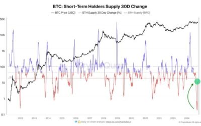 Bitcoin Short-Term Holders Back In Action As Demand Resumes, Price Spike Looming?