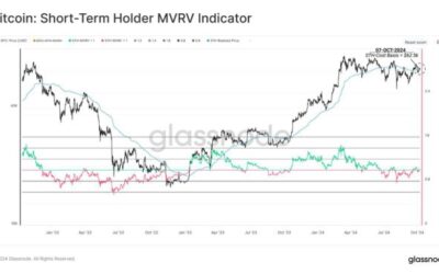 Bitcoin Stalls: Bullish Momentum Hinges On Reclaiming Key Metric, Expert Says