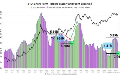 Bitcoin STHs Supply Decreases By 1.31M BTC – A Sign Of Growing Confidence?