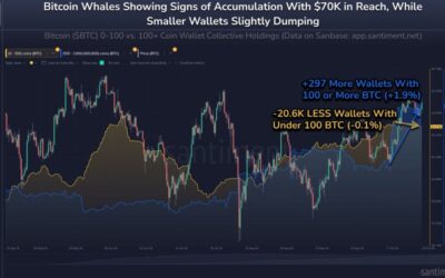 Bitcoin Whales Are Growing As Retail Shrinks – A Sign Of Strength?