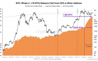 Bitcoin Whales Bought 1.5M BTC In The Past 6 Months: Smart Money Accumulation?