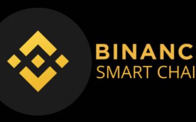 BNB Chain Sees Major dApp Volume Drop— BNB Price in Trouble?