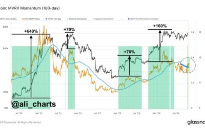 Critical Bitcoin Indicator Flips Bullish – On-Chain Data Confirms BTC Uptrend