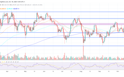 Crypto Bettor ‘Fredi’ Distorts Trump Odds On Polymarket, Researcher Claims