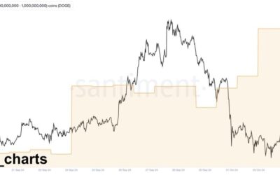 Dogecoin Whales Back In Action – Metrics Reveal $108 Million DOGE Accumulation