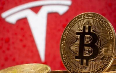 Elon Musk’s Tesla Moves 11,500 Bitcoin as Bitcoin Hits $67k Price Level