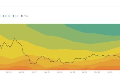 Ethereum Fundamentals Hint At Upside Potential As Staking Hits 29% High