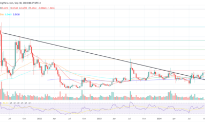 Fully Functional Ripple Stablecoin (RLUSD) Will Not Launch This Year: Expert