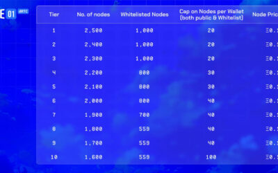 Huddle01 Node Sale Whitelist Opens Today, after hosting 7 million minutes of video calls