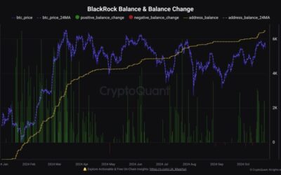 Is BlackRock Propping Up Bitcoin Price? Market Analyst Shares Details