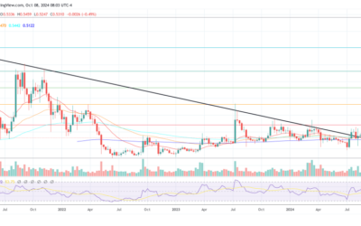 Japanese Financial Giant SBI Unveils NFTs On XRP Ledger And Polygon