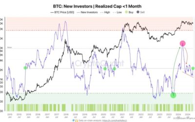 New Investors Buying Bitcoin Again: Key Data Supports Bullish Outlook