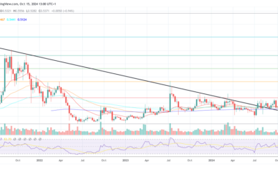 Ripple Swell Conference Begins Today: Top Themes To Watch Out For