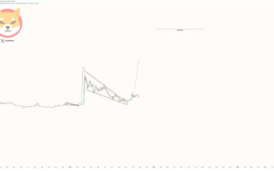 Shiba Inu Price To $0.000081 Target: Analyst Forecasts The Catalyst Behind It