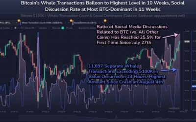 Surge In Bitcoin Activity: Whales Transactions Hit New Highs, Is A Bull Run Brewing?