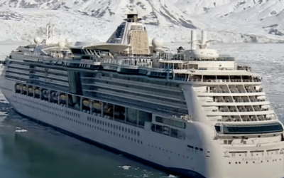 Terrifying Salmonella Outbreak Hits Royal Caribbean Cruise: 180 Passengers and Three Crewmembers Fall Sick