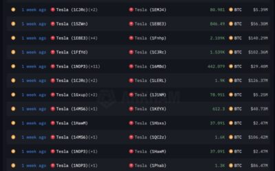 Tesla Did Not Sell Its 11,509 Bitcoin, On-Chain Data Reveals