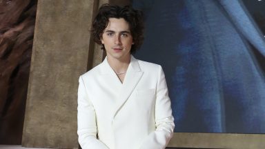 Timothée Chalamet Lookalike Contest: The Winner & Why Cops Got Involved