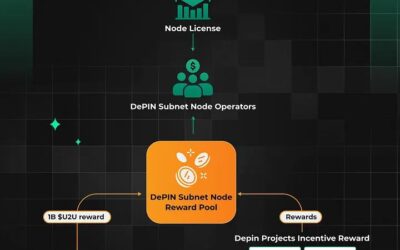 U2U Network Introduces First DePIN Subnet Node Sale for Decentralized Infrastructure Growth