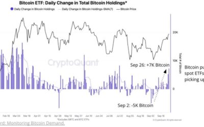 US Spot ETFs Fueling Bitcoin Demand – Is BTC Set To Explode In Q4 2024?