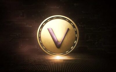 VeChain News: VeBetter DAO Enhances Sybil Protection with VePassport, Reduces Token Inflation