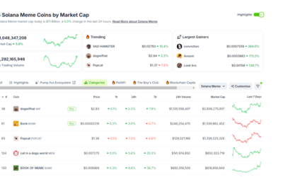 Will Solana Meme Coins Overtake Cardano In Market Cap?