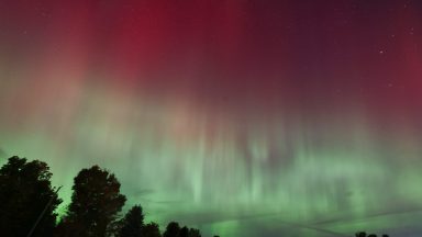 Will the Northern Lights Be Visible Friday Night? Where to See Them