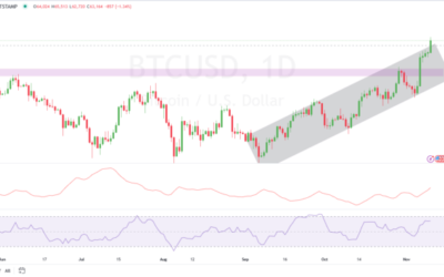 Bitcoin Hits $80K Milestone—Bull Run or Correction Next for BTC?