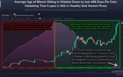 Bitcoin Holders Shift Gear: Average Age Of BTC Wallets Declines Sharply