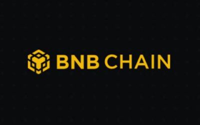 BNB Chain New Incentives Drive DeFi TVL and NFT Activity as Multichain Plans Unfold