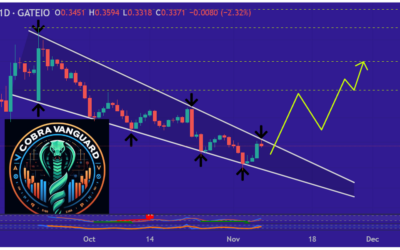 Catizen’s Next Move? Analyst Hints at Bullish Rally for CATI