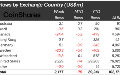 Crypto Funds Hit All-Time High Inflows of $29 Billion—Can This Growth Be Sustained?