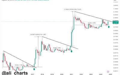 Dogecoin Price Completes October In The Green, Here’s What Historical Data Says About November