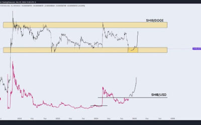 Dogecoin Vs. Shiba Inu: Investment Firm Reveals Why SHIB Will Outperform DOGE In 2025