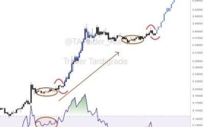 Hidden Bullish Divergence Appears On Dogecoin Price Chart, Here’s What To Expect Next