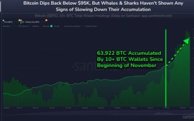 Impending Bitcoin’s Price Correction May Be Brief If This Key Trend Persist