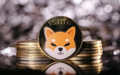 Kusama’s Blockchain Plan for Trump: A Game-Changer for Shiba Inu Price?