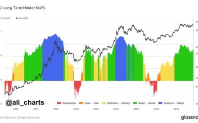 Long-Term Bitcoin Holders Aren’t Showing Sings Of Greed – Metrics Reveal A Bullish NUPL