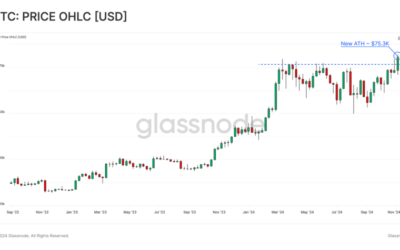 New Glassnode Report Reveals What Will Happen to the Crypto Market Amid Frenzy