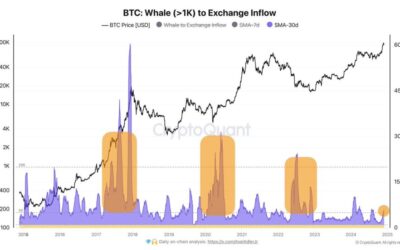 On-Chain Data Reveals Bitcoin Whales Aren’t Selling – Investors See Long-Term Potential