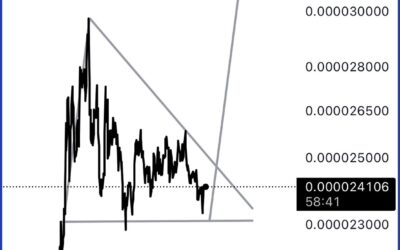 SHIB Set to Outshine DOGE? Research Firm Highlights “Interesting” Chart